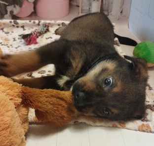 Доброе утро!