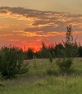 Пенза и санаторий «Хопровские зори»