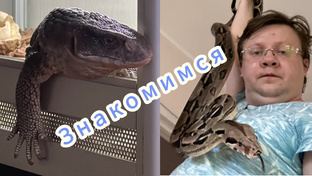Знакомство