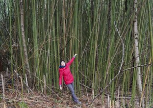 Что посмотреть в Сочи и Абхазии, самые красивые места.
