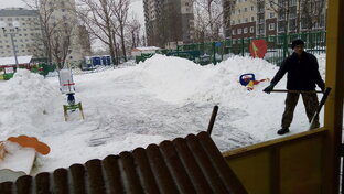 Чистка садиков. 