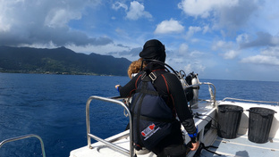 Сейшелы. Дайвинг