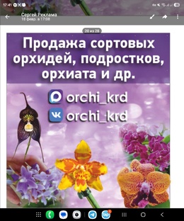 Наш магазин в г. Краснодар, отправляем СДЭК по всей России 