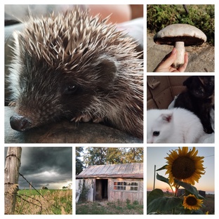 ЖИЗНЬ ПОМЕСТЬЯ