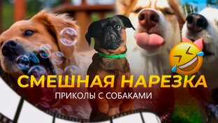 Короткие видео по рейтингу.