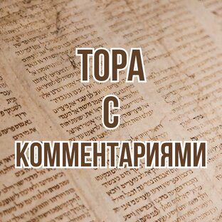 Тора с комментариями (2007-2018)