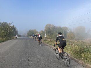 Отчеты о бреветах