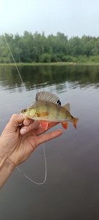 Однажды на рыбалке 🎣😊