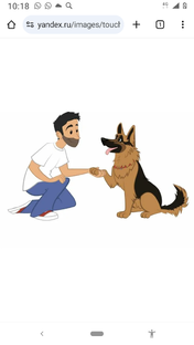 Человек собаке друг ! 