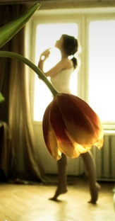 имена и знаки зодиака)