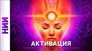 Активация. Моя аналитика / отчеты 