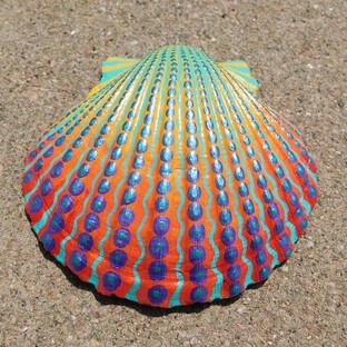 Конхиология