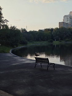 Вне психологии