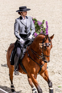 Рабочая Выездка