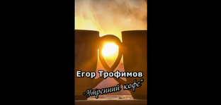 TIKTOK (TikTok Video)