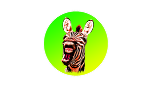 МУДЫ БАРБОСКИНЫ СБОРНИКИ🫠