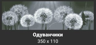 Одуванчики