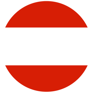 Австрийские Художники