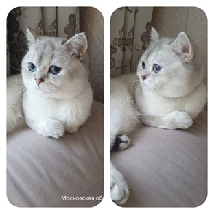Олежек