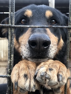 Тимвилль