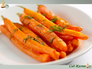 Всё о моркови: польза, рецепты и хранение