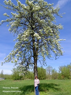 Необычное рядом.