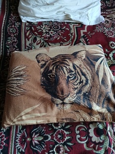 для чего нужны коты