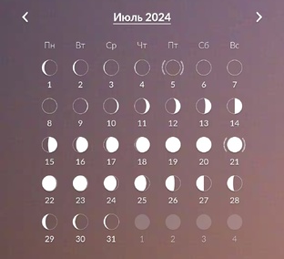 Дневник начинающей ведьмы. 