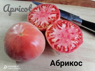 " БАРХАТНЫЕ "