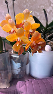 Знакомство 