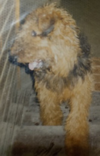 Воспоминания из детства 😊