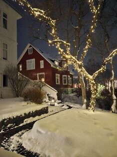 🇮🇸ИСЛАНДИЯ