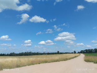 Дневник путешествий с усатым гидом 