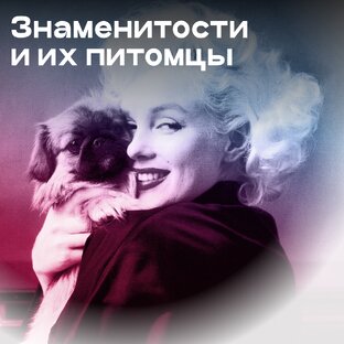 Знаменитости и их питомцы