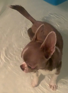 ~[🧼] ВАННАЯ「 🛁 」