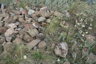 Археология в степи