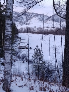  Горный Алтай и Трава Мурава.