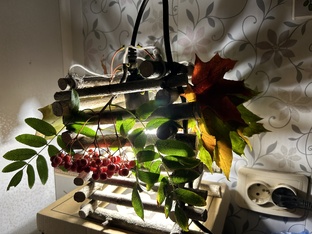 Своими руками