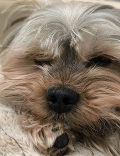 Масштаб личности