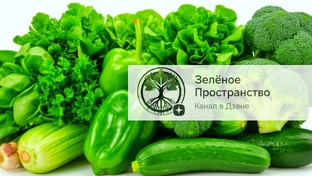 Самые популярные статьи канала