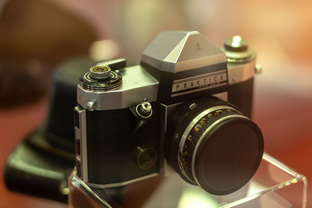 выставки и музеи