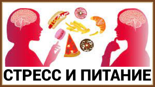 Влияние стресса на питание