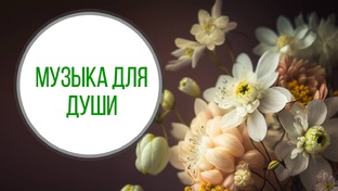 Музыка🎶 для души