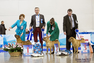 Фоторепортажи