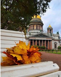 Любимый город