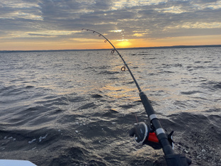 Рассказы о рыбалках  2024 🎣 🗒️ 