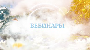 Вебинары