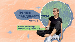 Тренды ландшафта
