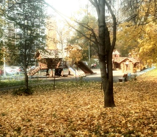 Городская природа  