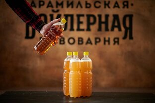 Пивная теория